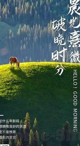 一本草中文字幕-探索一本草的魅力，中文字幕下的文化之旅